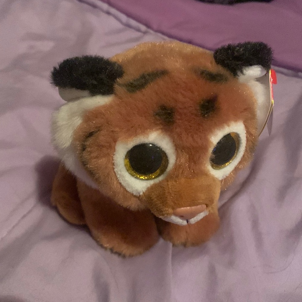 Tiger Beanie Boo collection